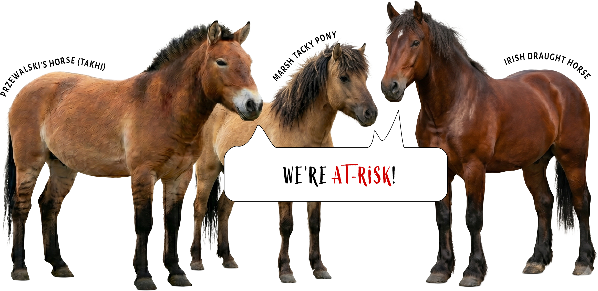 Hold Your Horses artwork — two horses, Critters at Risk coming soon